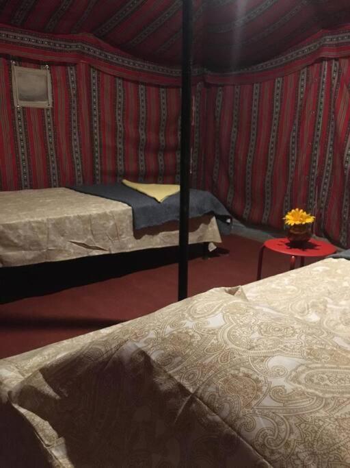 Mars Jungle Adventure Stud Farm With Private Jacuzzi Villa Narsinge Rom bilde