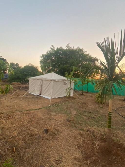 Mars Jungle Adventure Stud Farm With Private Jacuzzi Villa Narsinge Rom bilde