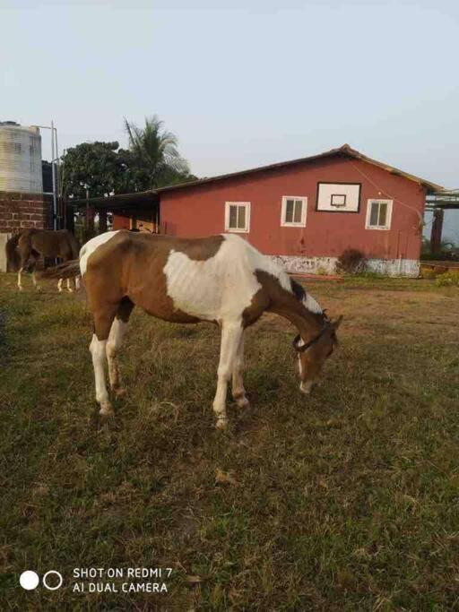 Mars Jungle Adventure Stud Farm With Private Jacuzzi Villa Narsinge Eksteriør bilde
